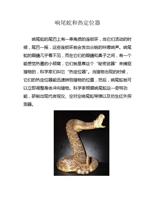 响尾蛇和热定位器