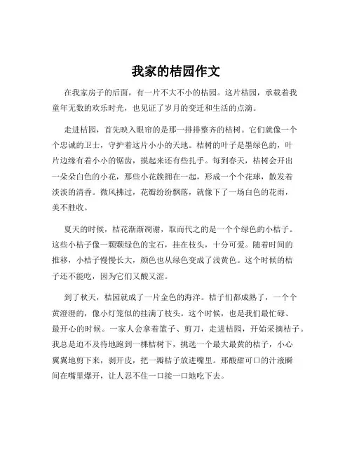 我家的桔园作文
