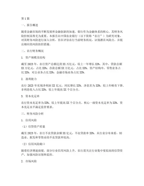 农行财务风险分析报告(3篇)