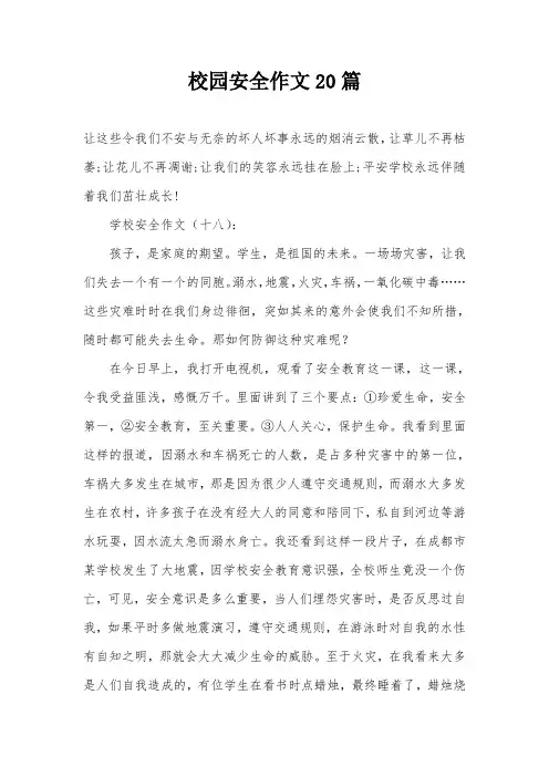 校园安全作文20篇