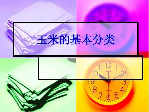 玉米的基本分类ppt课件
