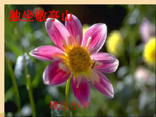 三年级语文独坐敬亭山PPT优秀课件