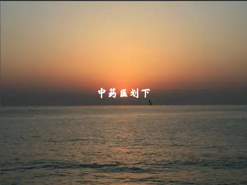 《中药区划下》PPT课件教案