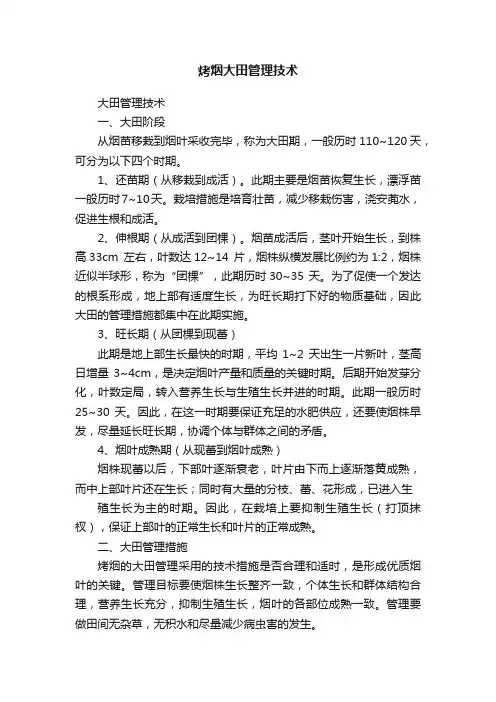 烤烟大田管理技术