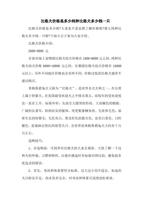 比格犬价格是多少纯种比格犬多少钱一只