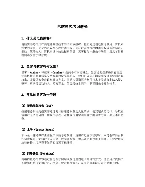 电脑黑客名词解释