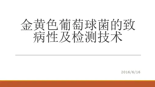 金黄色葡萄球菌的致病性及检测技术