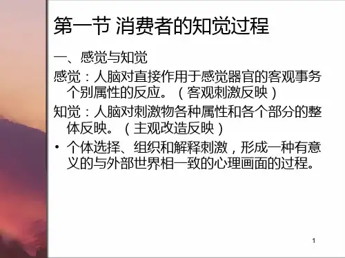 《消费者行为学》七消费者的知觉PPT课件
