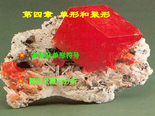 第四章 单形聚形