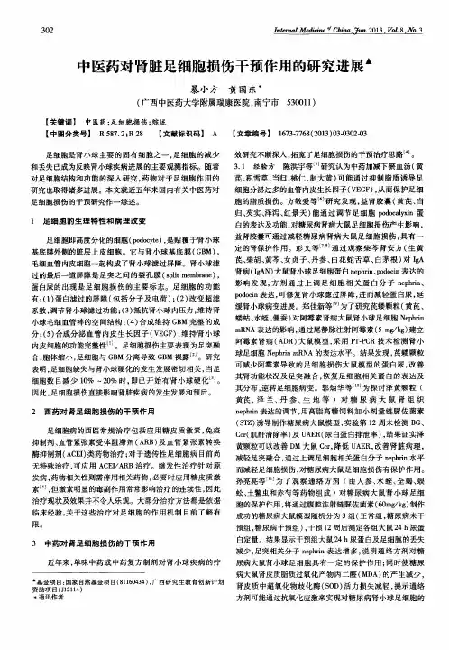 中医药对肾脏足细胞损伤干预作用的研究进展