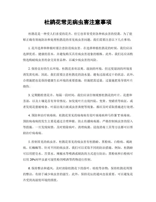 杜鹃花常见病虫害注意事项