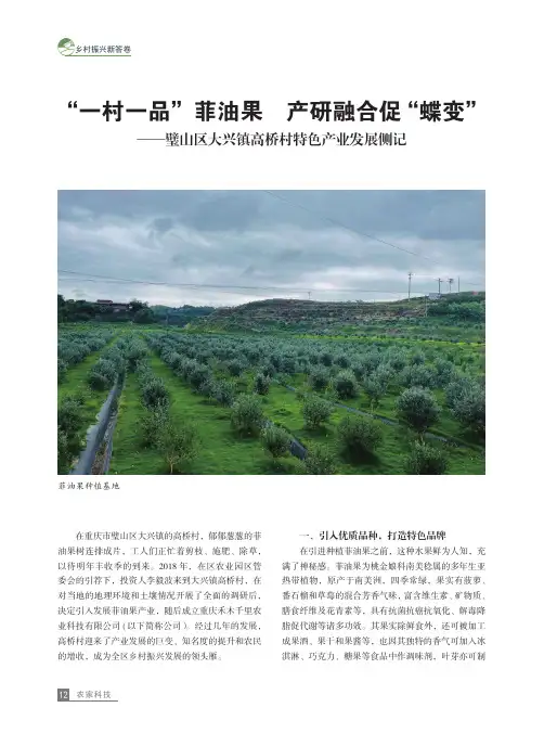 “一村一品”菲油果_产研融合促“蝶变”——璧山区大兴镇高桥村特色产业发展侧记