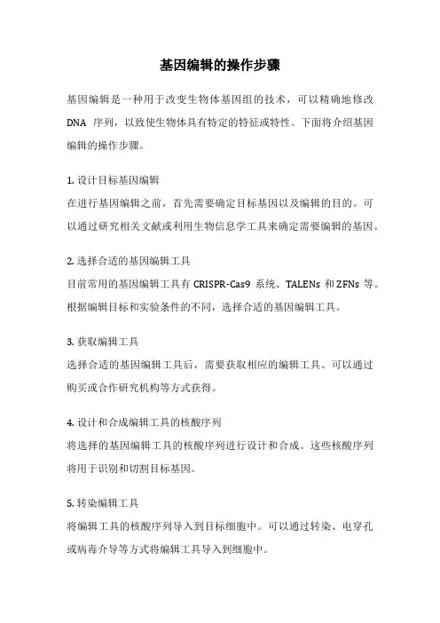 基因编辑的操作步骤