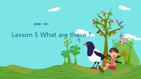 四年级下册英语Lesson 5 What are these？Lesson 2 我的新玩具科普版
