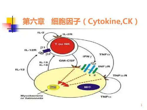 高美华《医学免疫学》第六章 细胞因子ppt课件