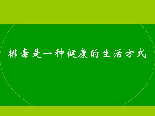 排毒是一种健康的生活方式 PPT课件