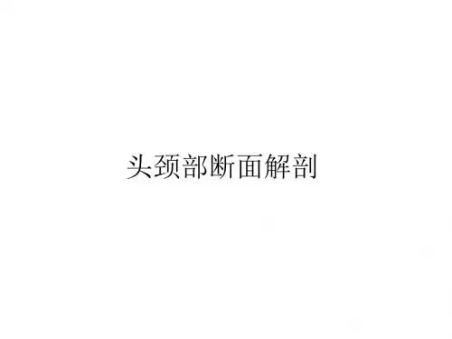 头颈部断面解剖-PPT课件