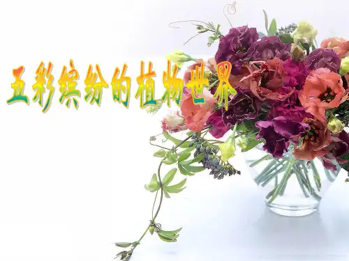 苏教版八年级生物上册第14章第1节五彩缤纷的植物世界 课件(共33张PPT)