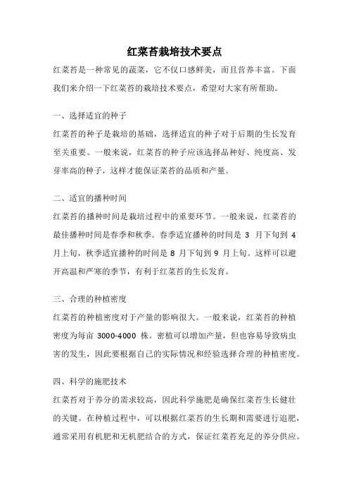 红菜苔栽培技术要点