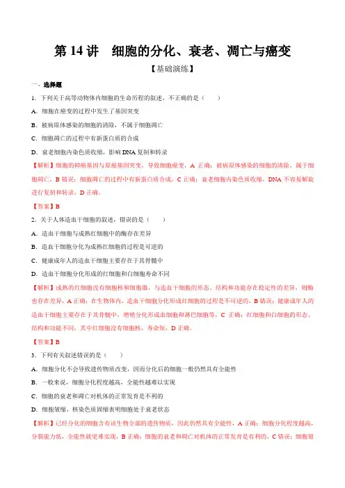 第14讲 细胞的分化、衰老、凋亡与癌变(测)-2017届高三生物一轮复习(解析版)