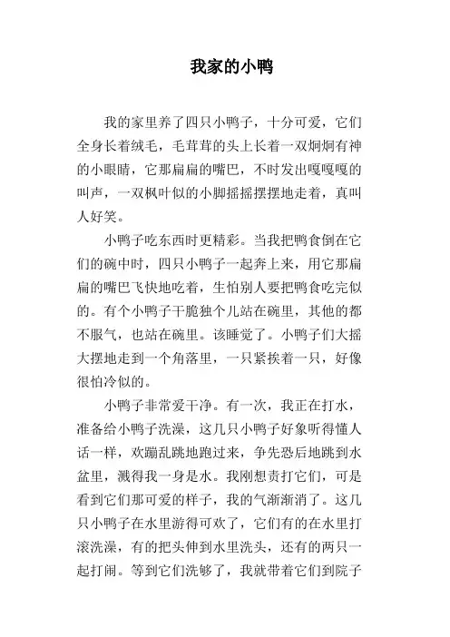 我家的小鸭