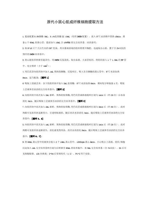 原代小鼠心肌成纤维细胞提取