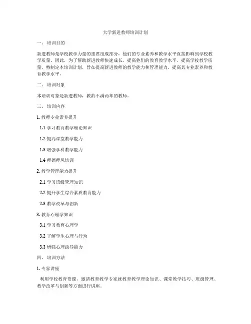 大学新进教师培训计划