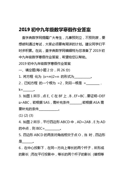 2019初中九年级数学寒假作业答案语文