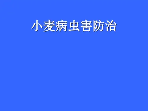(完整版)小麦病虫害防治