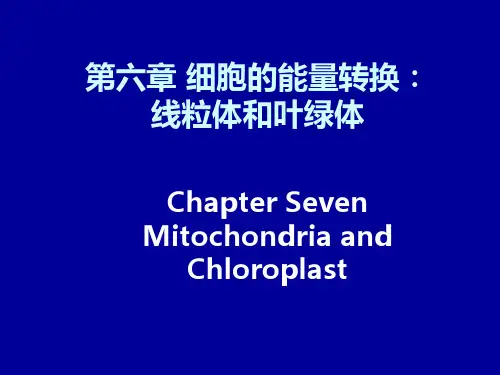 细胞生物学 第6章 细胞的能量转换：线粒体和叶绿体 图文