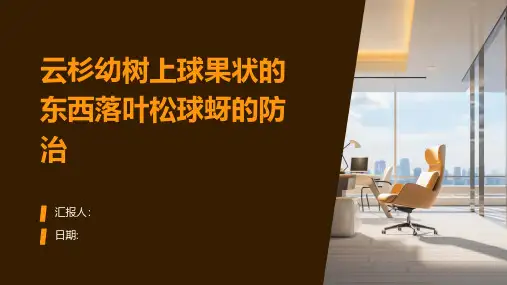 云杉幼树上球果状的东西落叶松球蚜的防治