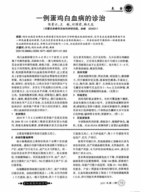 一例蛋鸡白血病的诊治