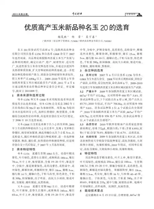 优质高产玉米新品种名玉20的选育