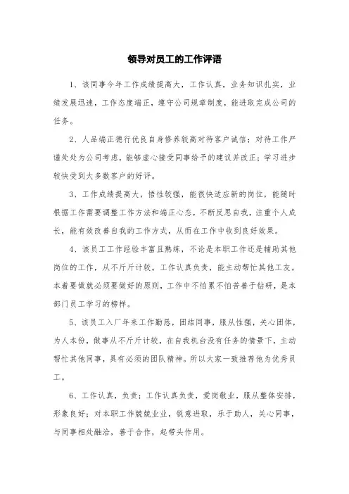 领导对员工的工作评语