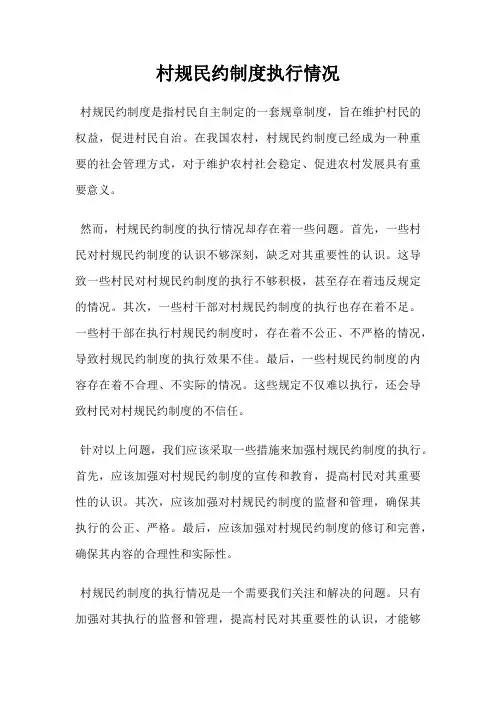 村规民约制度执行情况