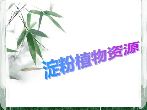 淀粉植物资源