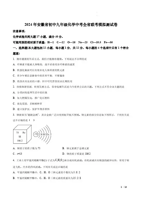 2024年安徽省初中九年级化学中考全省联考模拟测试卷