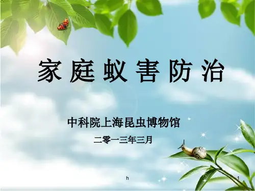 《家庭蚁害防治》PPT课件