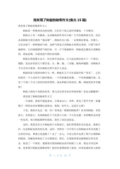 我发现了蚂蚁的秘密作文(集合15篇)