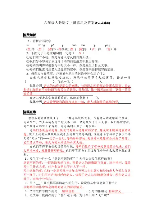 六年级人教语文上册练习及答案老人与海鸥