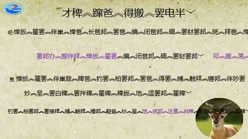 初中语文人教版(部编)七年级上册15走一步,再走一步