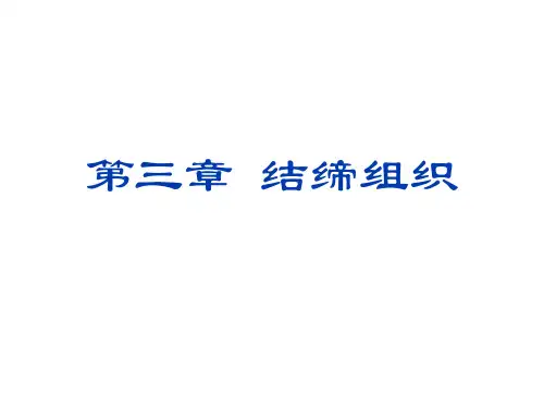 动物生理学 第三章 结缔组织