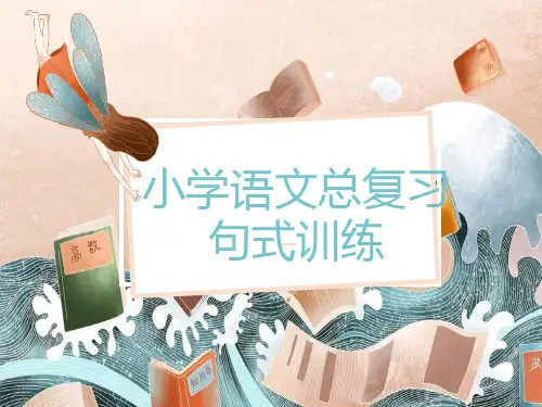 六年级下册句式专项复习课件(共29张PPT)