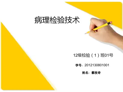 病理学检验 ppt课件
