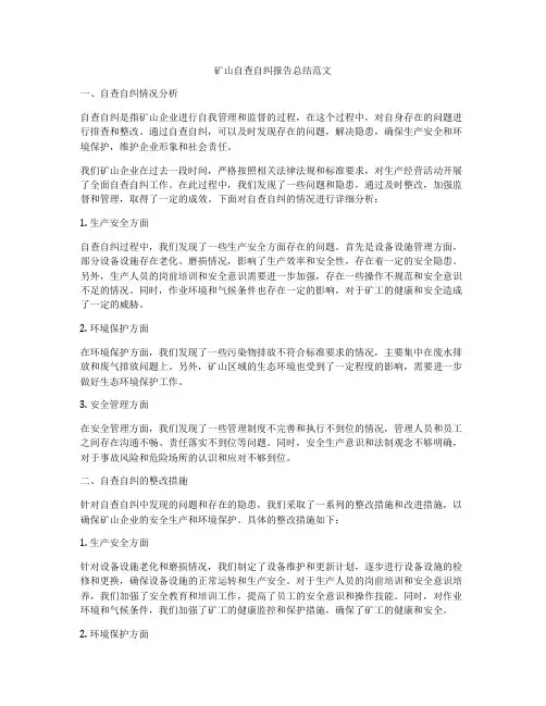 矿山自查自纠报告总结范文