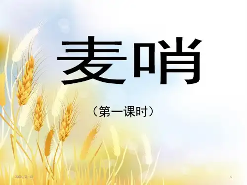 (公开课课件)四年级下册语文《麦哨》(共11张PPT)