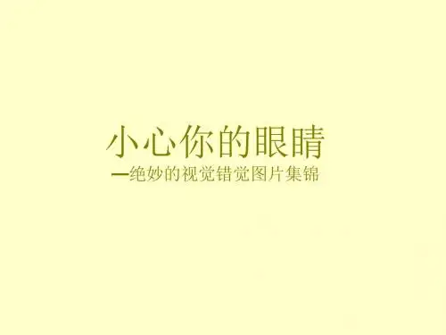 绝妙的视觉错觉图片集锦PPT-精选