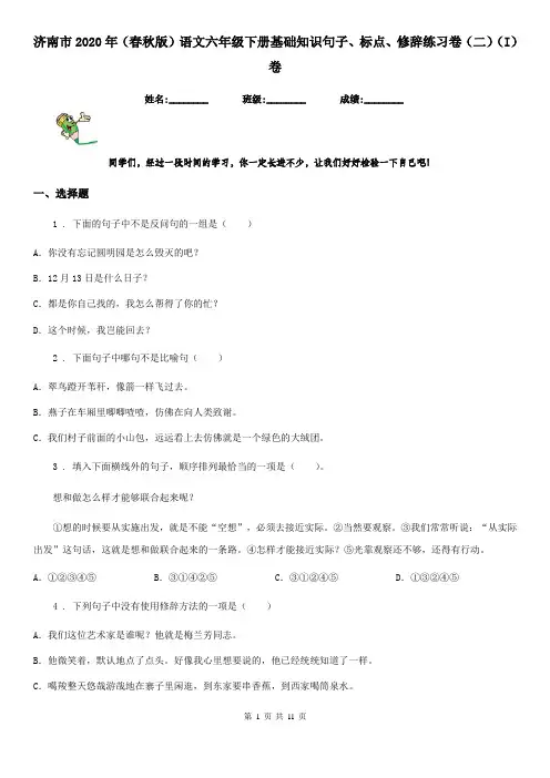 济南市2020年(春秋版)语文六年级下册基础知识句子、标点、修辞练习卷(二)(I)卷
