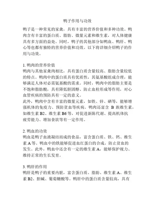 鸭子作用与功效