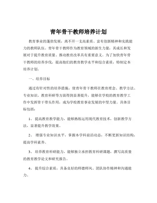 青年骨干教师培养计划
